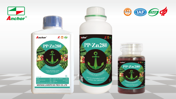 PP·Zn280