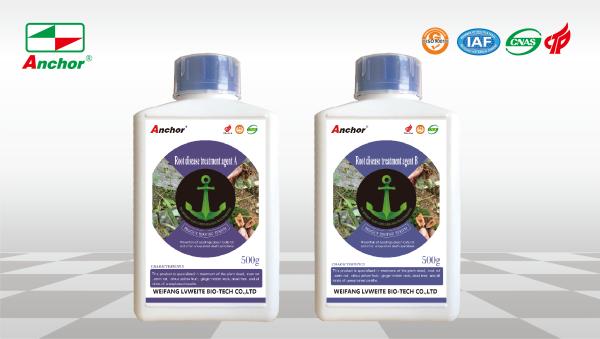 Root disease treatment agent A+B
