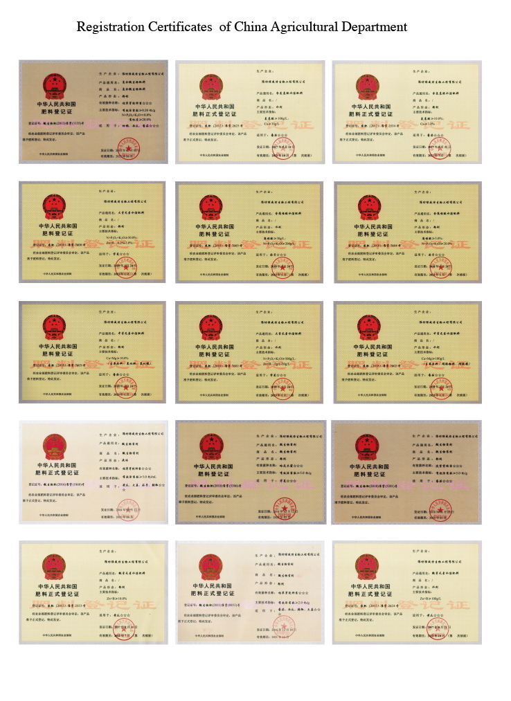 Registration Certificates(图1)