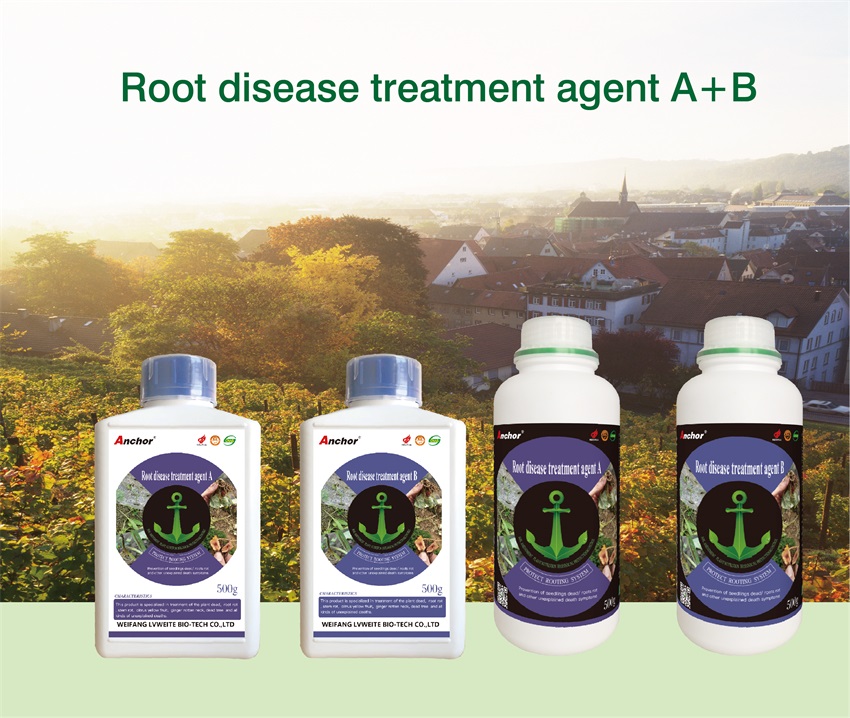 Root disease treatment agent A+B(图1)