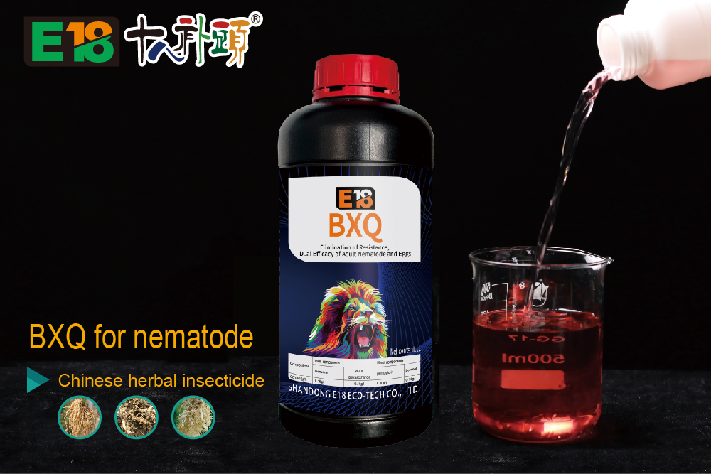 BXQ for nematode