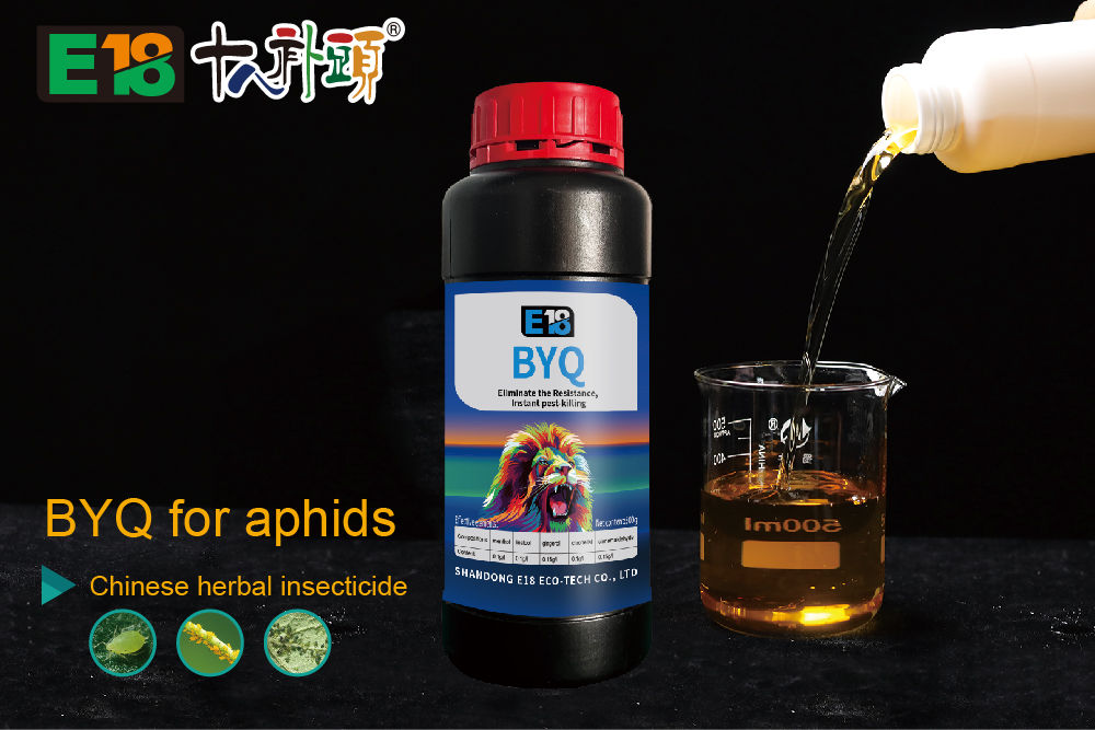 BYQ for aphids